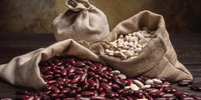 Venta de frijoles de alta calidad La empresa Beans