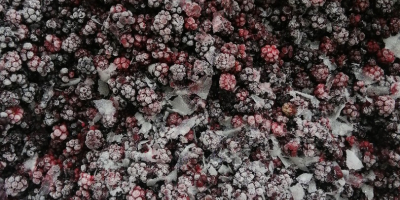 moras congeladas y fresas congeladas, frutas congeladas higos congelados