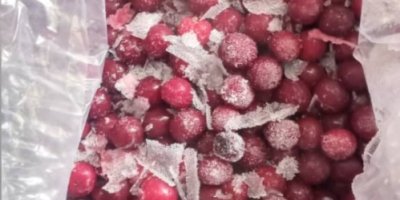 moras congeladas y fresas congeladas, frutas congeladas higos congelados