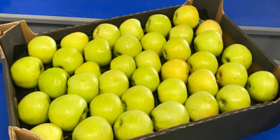 Las manzanas se envasan en cajas, así como muchos