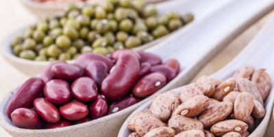 Frijoles al por mayor en stock. La entrega de