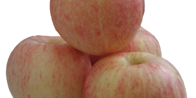 Exportamos manzanas como Fuji, Golden Delicious, Granny Smith, Pink