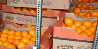 Hola, vendo naranjas para clasificar. Después de un accidente