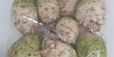 Raíz de apio calidad premium --- EXPORTACIÓN Información en