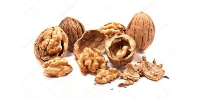 Compraré residuos del procesamiento de nueces: galletas, polvo, podredumbre,