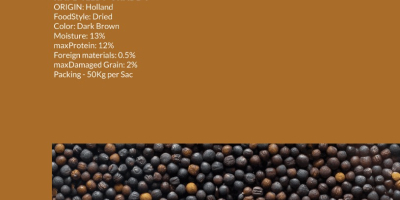 Semillas de colza Grado A Origen :Brasil Humedad. :12%