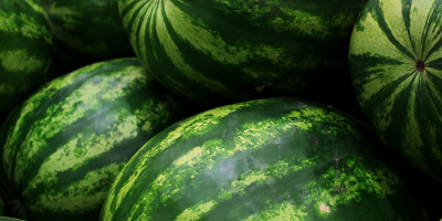 voy a comprar una sandia, calidad de mercado