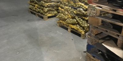 Solo vendemos papas de agricultores anualmente, solo papas polacas.