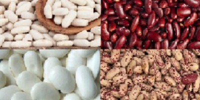 Natur Beans Product comercializa alubias de calidad de diversas