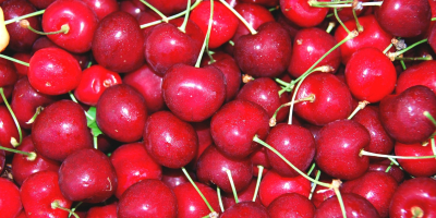 Bigaro Burlat y Van Cherries en venta - super