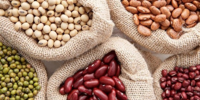 La empresa ucraniana Beans Natur Product vende frijoles de