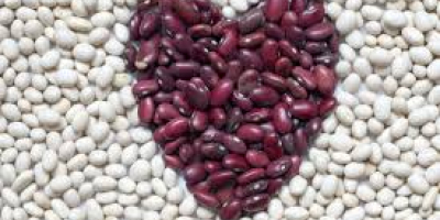 La empresa ucraniana Beans Natur Product vende frijoles de