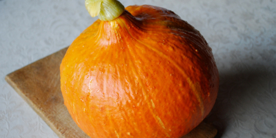 Calabaza orgánica de Hokkaido (Uchiki Kuri Red). Cantidades al