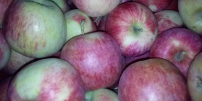 Tengo que vender 100 cajas de pirosa. La manzana