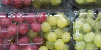 Tenemos uvas verdes y rojas muy bonitas y frescas