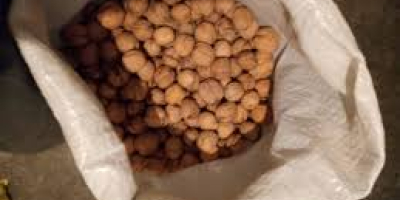 Hola vendo nueces a partir del 2020-2021, mas informacion