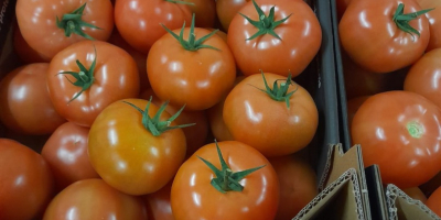 Ofrecemos envíos de patatas y otras verduras procedentes de