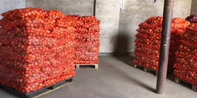 Ofrecemos la entrega de patatas y otras verduras de