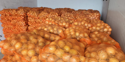 Ofrecemos entrega de patatas y otras verduras desde Polonia