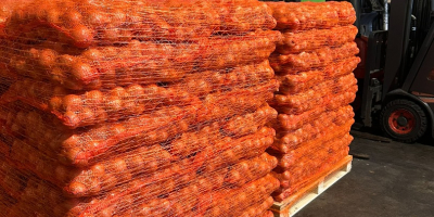 Ofrecemos entrega de patatas y otras verduras desde Polonia