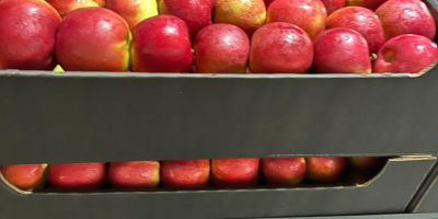 Exportamos manzanas a cadenas de supermercados e importadores europeos.