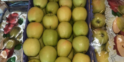 Hola. Vendo manzana Golden Delicious. Embalado en cajas de