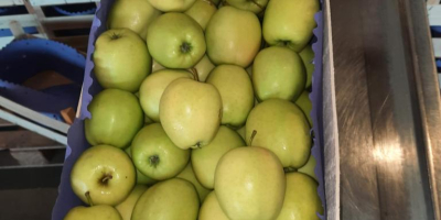 Hola. Vendo manzana Golden Delicious. Embalado en cajas de