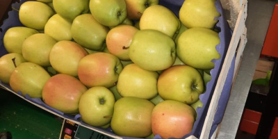 Hola. Vendo manzana Golden Delicious. Embalado en cajas de