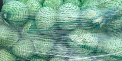 Ofrecemos col blanca en cajas, bolsas y cajones de