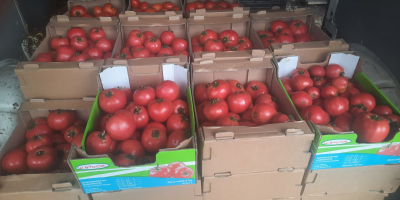 Vendo tomates frambuesa Muy sabrosos, dulces, perfectos para conservas.