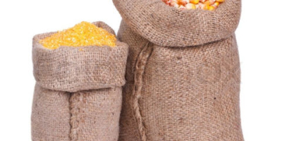 Exportador de granos a granel Maíz seco Precio mayorista