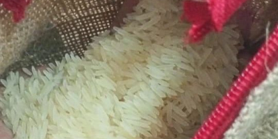 Предлагаме сортове ориз в добро качество и количество, на