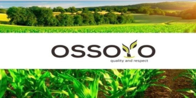 La comercializadora de cereales &quot;Ossoyo&quot; vende trigo, girasol, cebada,