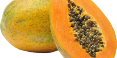 Suministramos frutas de papaya frescas de alta calidad de