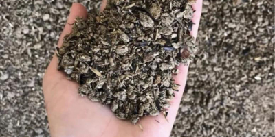 Vendemos cereales: maíz, cebada, girasol, en big bags oa