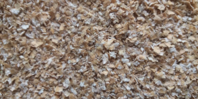 Vendemos cereales: maíz, cebada, girasol, en big bags oa