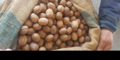 hola vendo nueces de primera calidad peladas y abaino