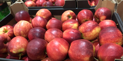 Ofrecemos diferentes variedades de manzanas. Podemos ofrecer, por ejemplo,