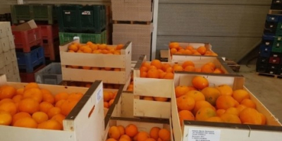Vendo mandarina clementina directamente de españa encerada k3-5 empacada
