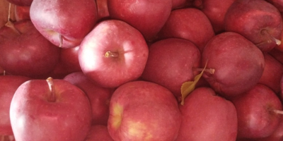 Venderé una manzana de la variedad jefe rojo. Fruta