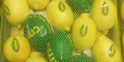 Vendemos Limones Enterdonato, calibre 54-72. Precio FOB Mersin Turquía