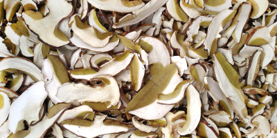 Vendo boletus secos, sanos.Posibilidad de envio.