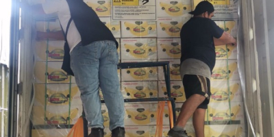Bananas cavendish extra premium Ecuador producción propia 3.600 cajas