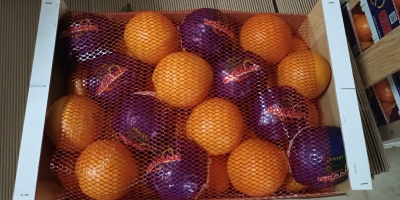 Ofrezco naranjas directamente de la soleada España. La fruta