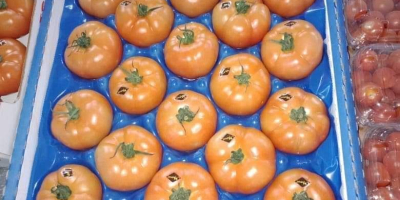 Tomates De Marruecos