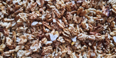 Venderé las nueces sin cáscara de este año. Están