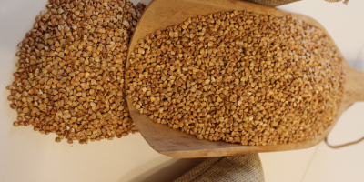 Granos de trigo sarraceno orgánico certificado, ligeramente tostados. De