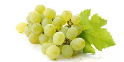 Uvas frescas y deliciosas (verde)