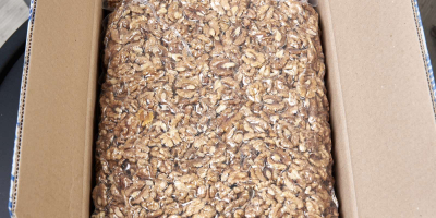Somos un exportador directo de nueces de Ucrania a