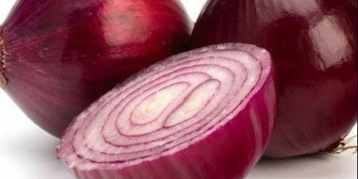 Red Burgundy Onion Seeds 200+ Huerto HEIRLOOM NON-GMO ENVÍO